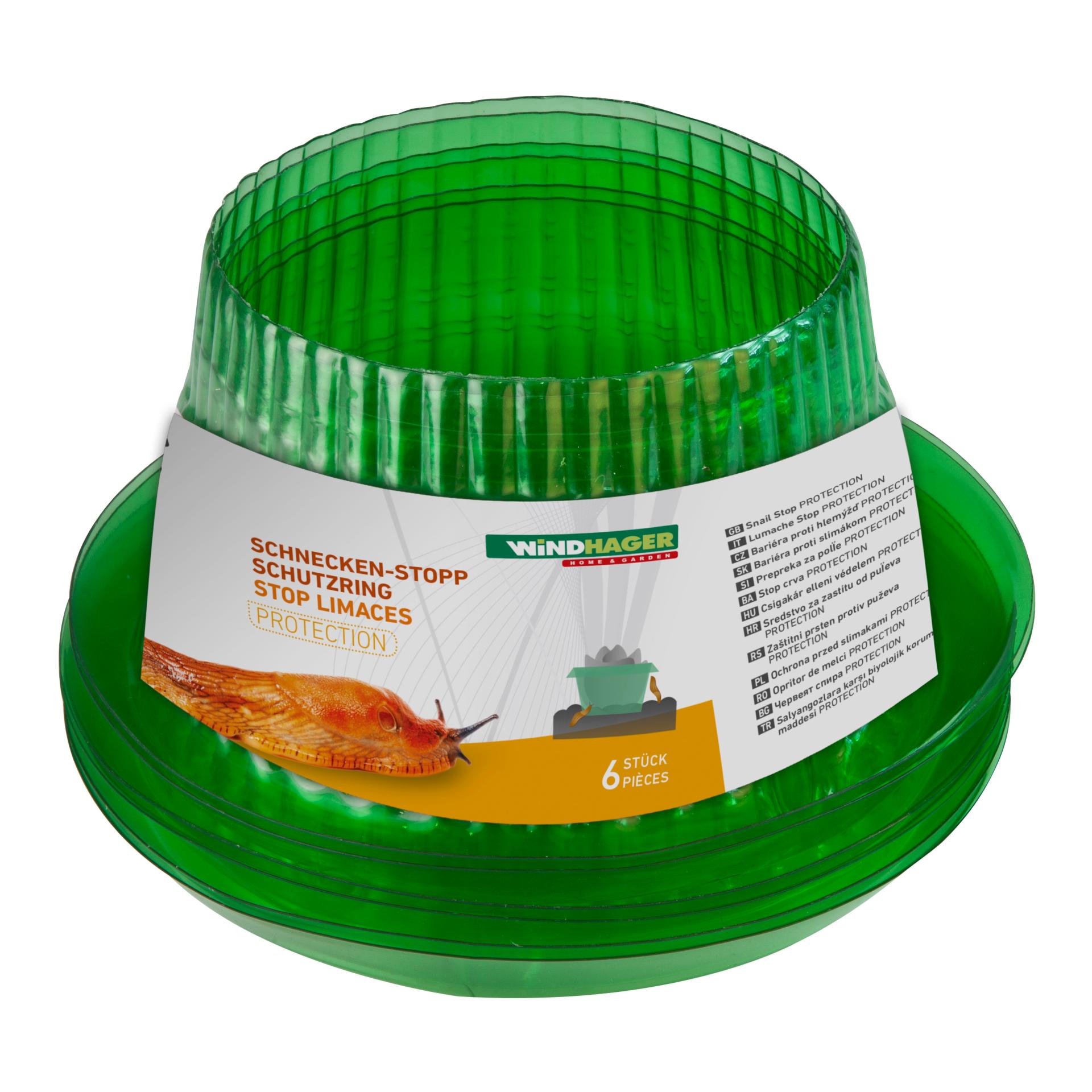 Schnecken - Schutzring - grün transparent