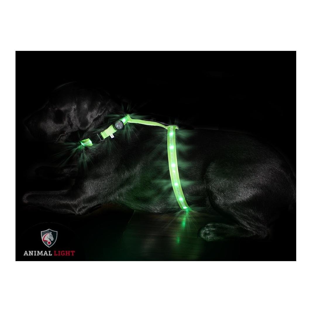 Leucht - Hundegeschirr "Ninja" - grün