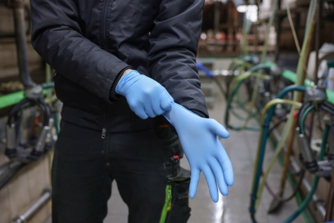 Gants jetables Nitrile Premium