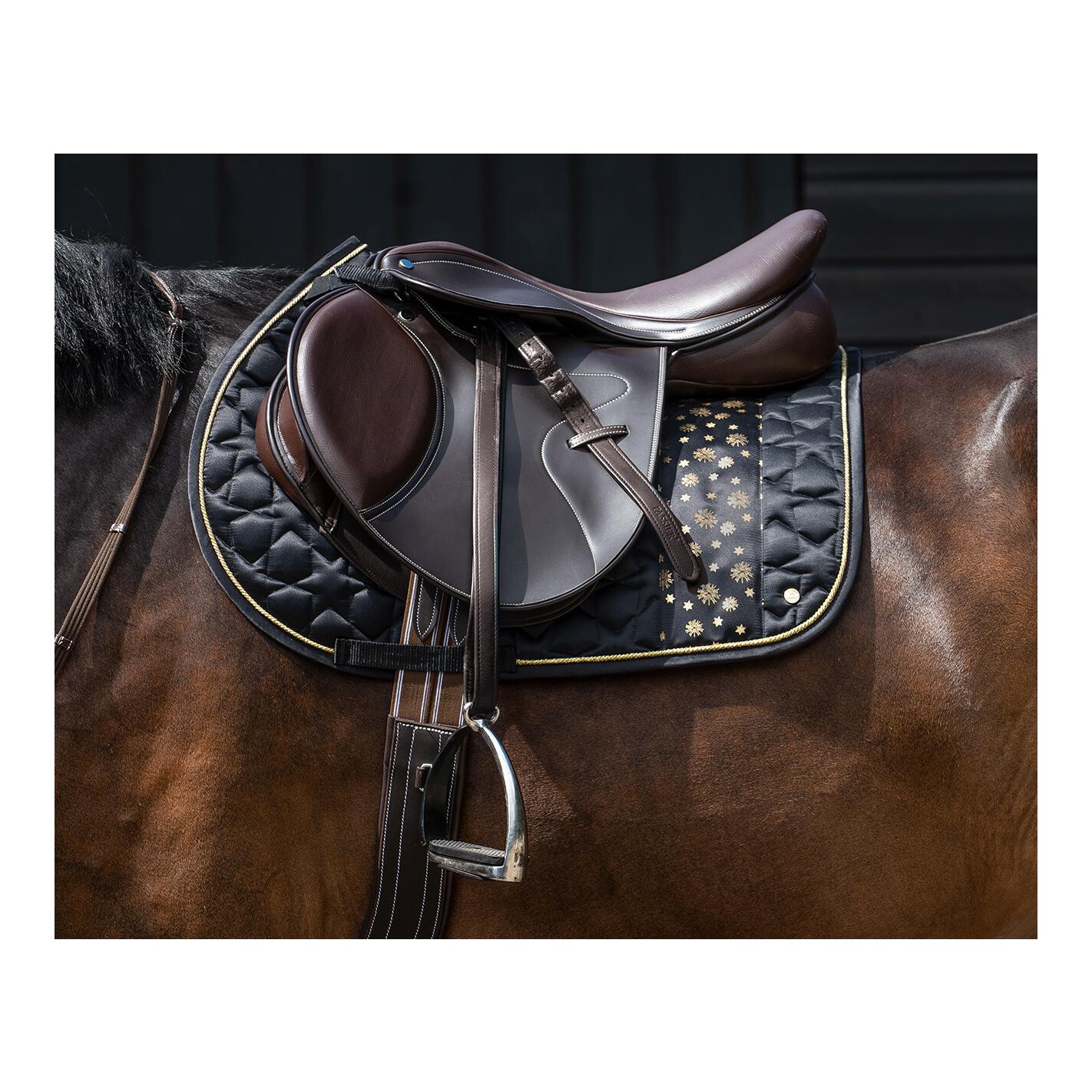 Schabracke Celebrate