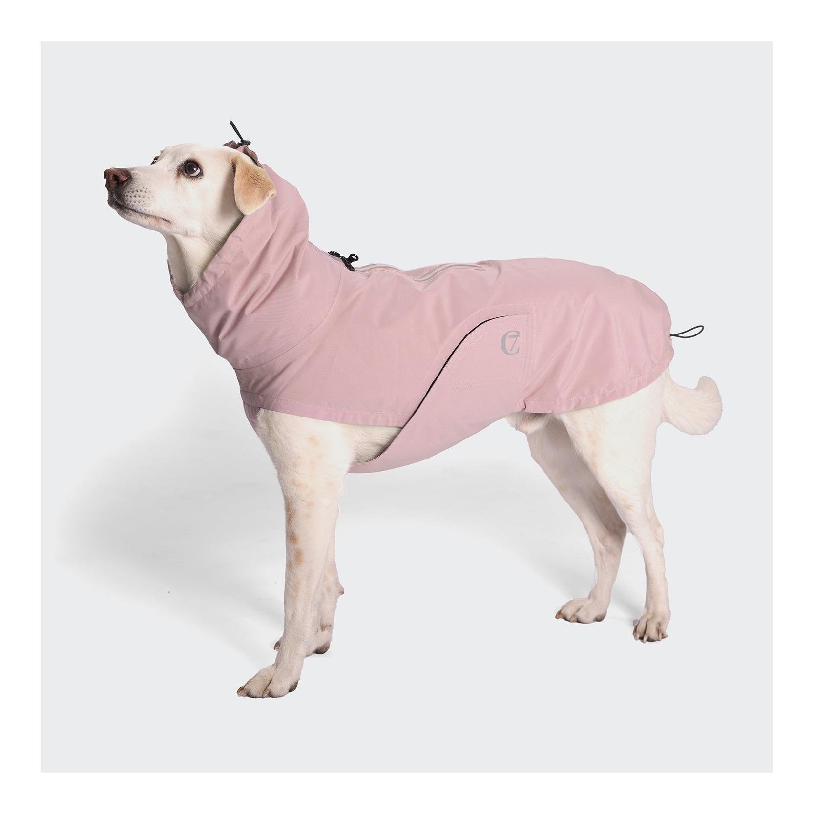 Hunderegenmantel Dublin