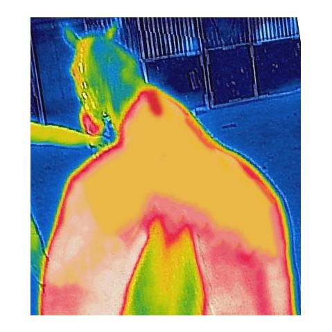 Therapy Decke Mesh Cooler - navy