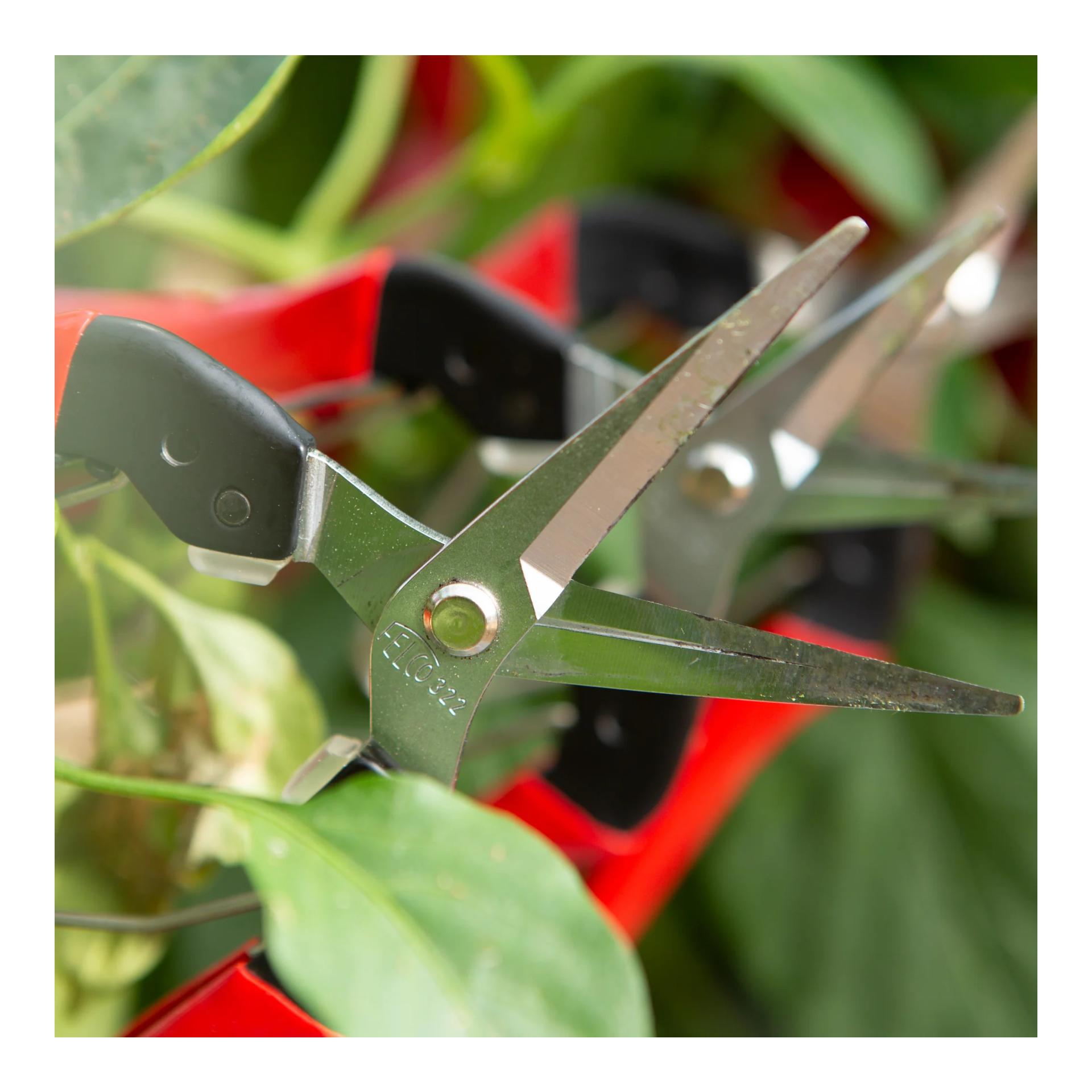 FELCO 322 Ernte- und Leseschere