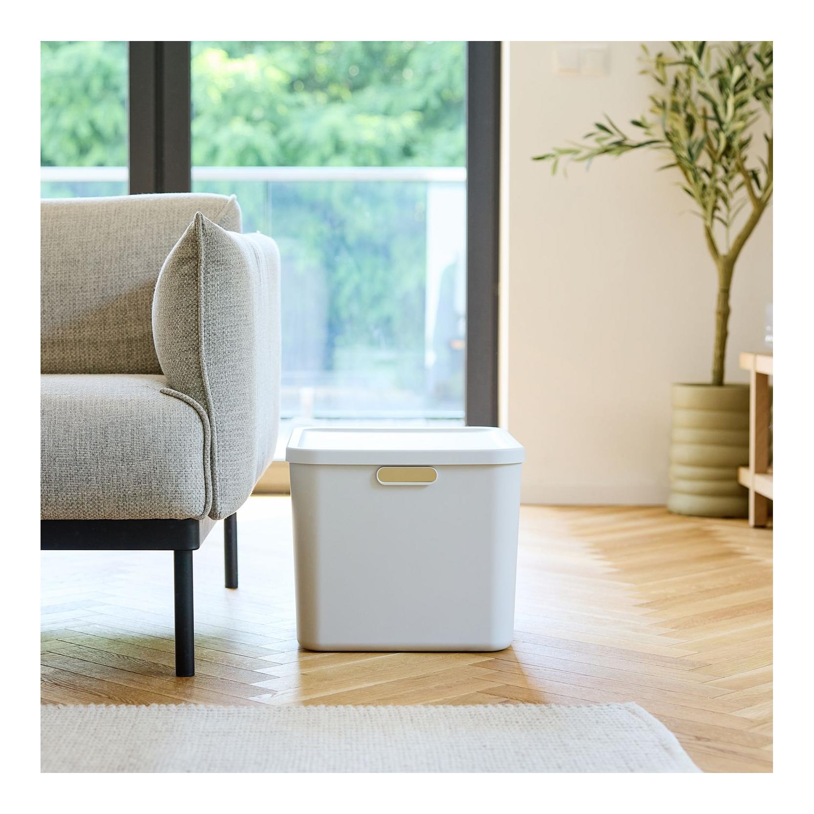 Rotho Multibox ALBULA