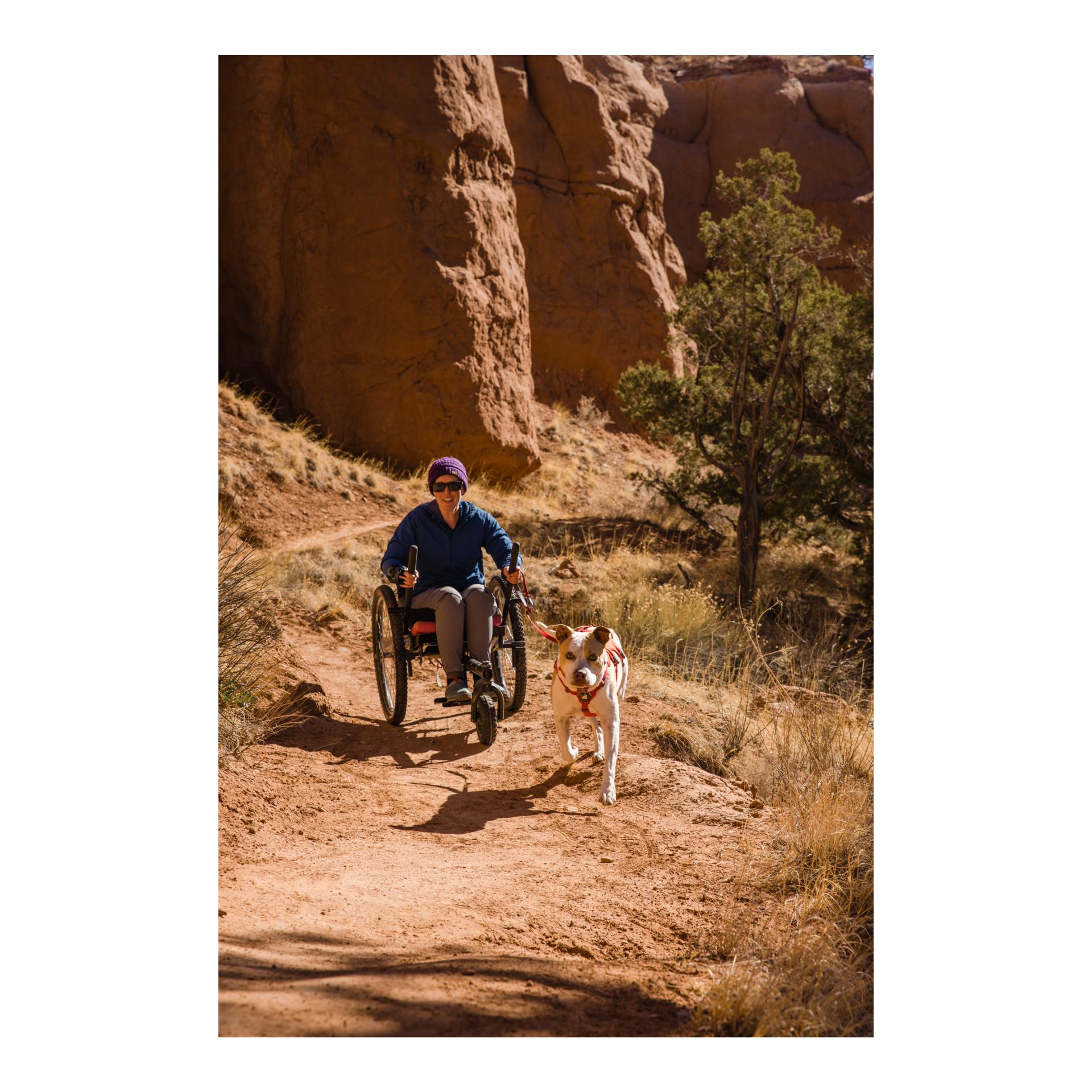 Web Master™ Geschirr