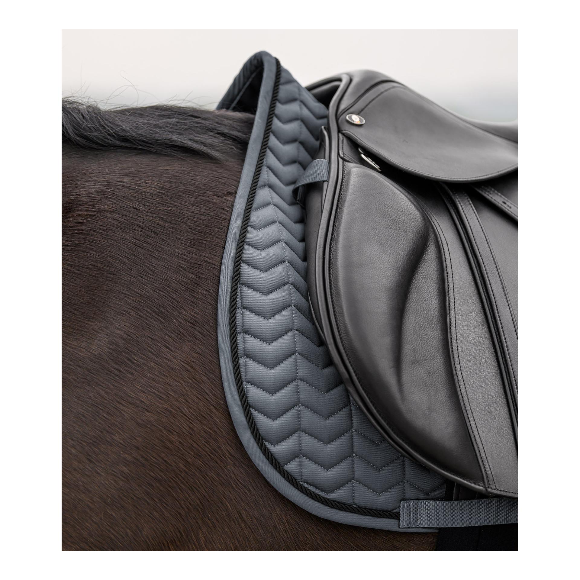 Waldhausen Schabracke Classic