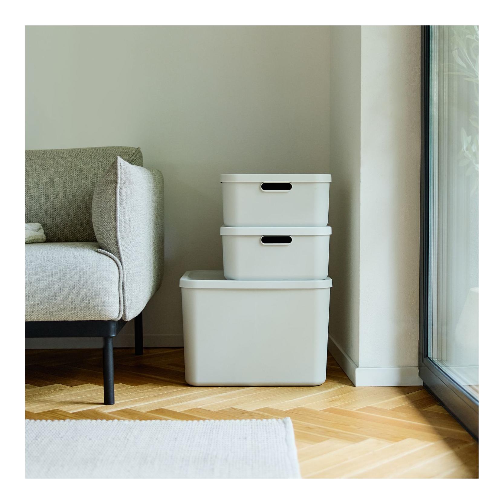 Rotho Multibox ALBULA