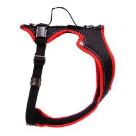 Dogs Fun Run Hundegeschirr MUTZ