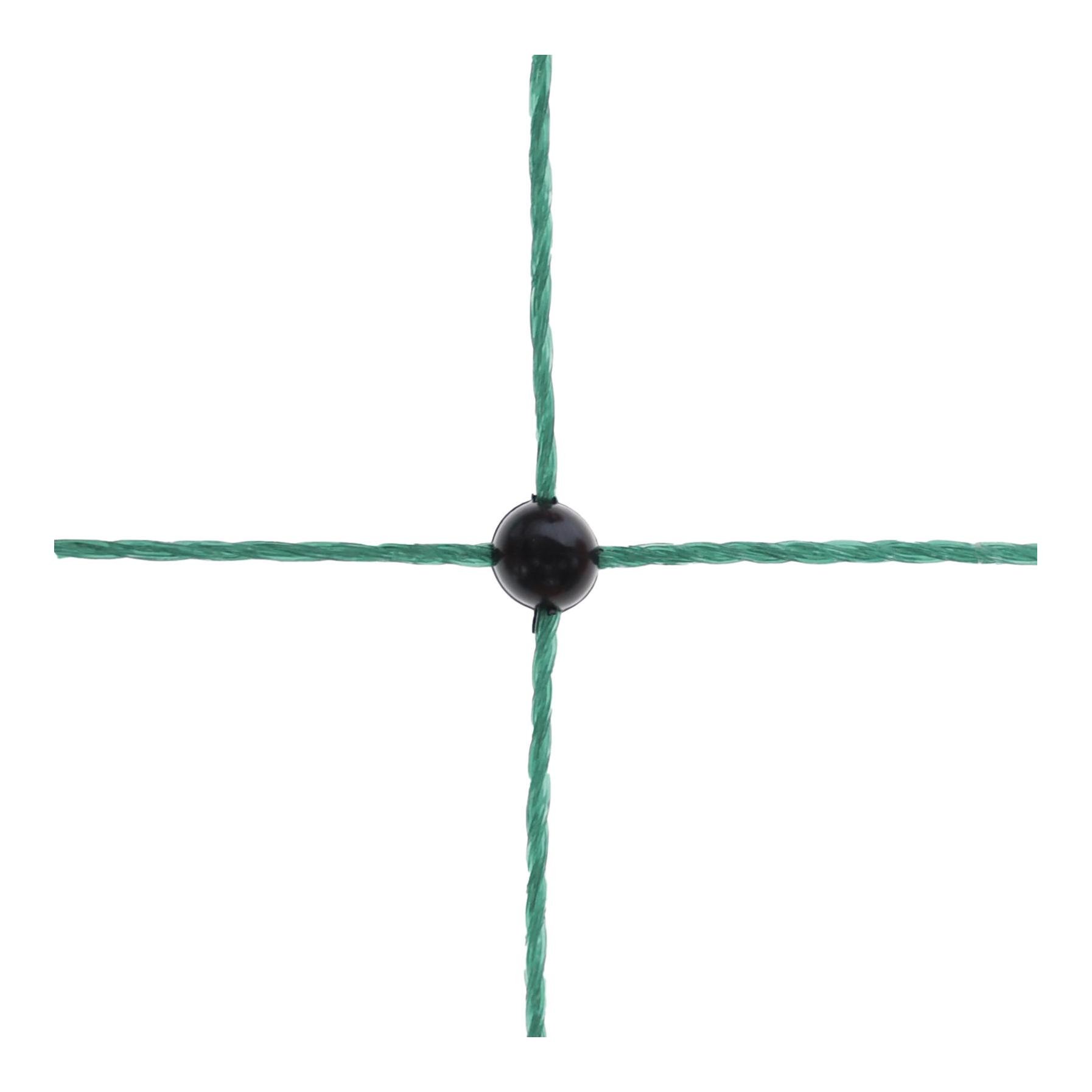 Geflügelnetz PoultryNet - Doppelspitz