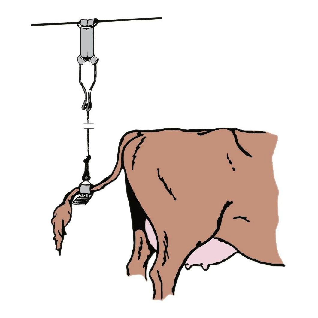 Kerbl Kuhschwanzhalter mit schwarzem Profilgummi