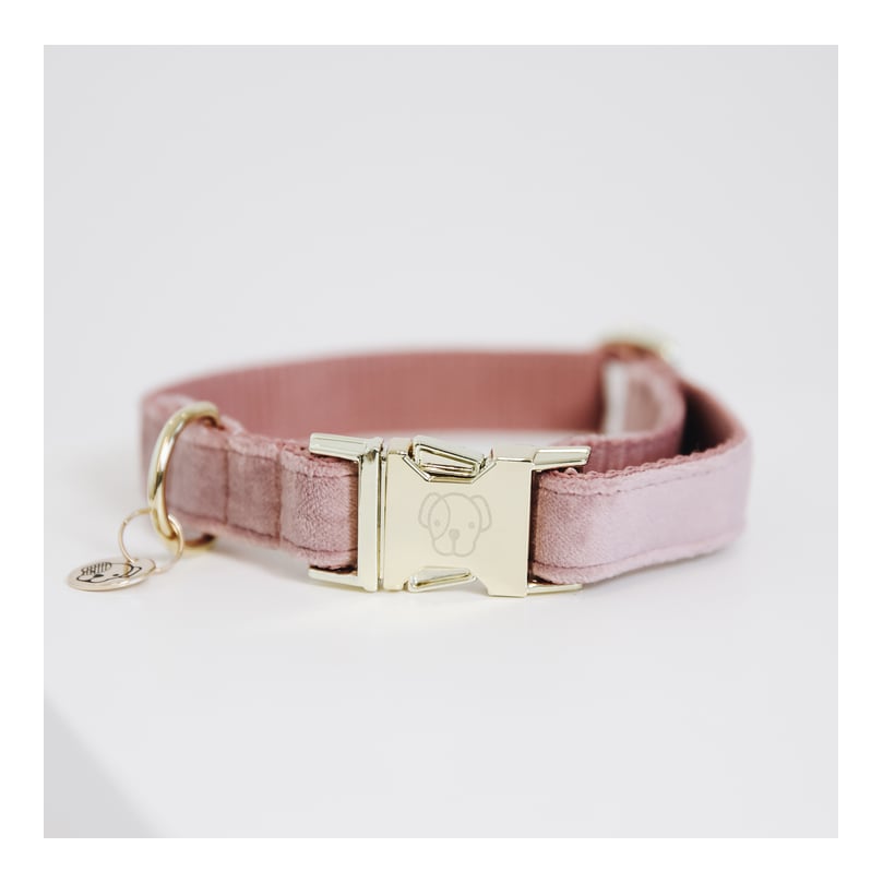 Image of Kentucky Dogwear Hundehalsband velvet - old rose bei Hauptner.ch