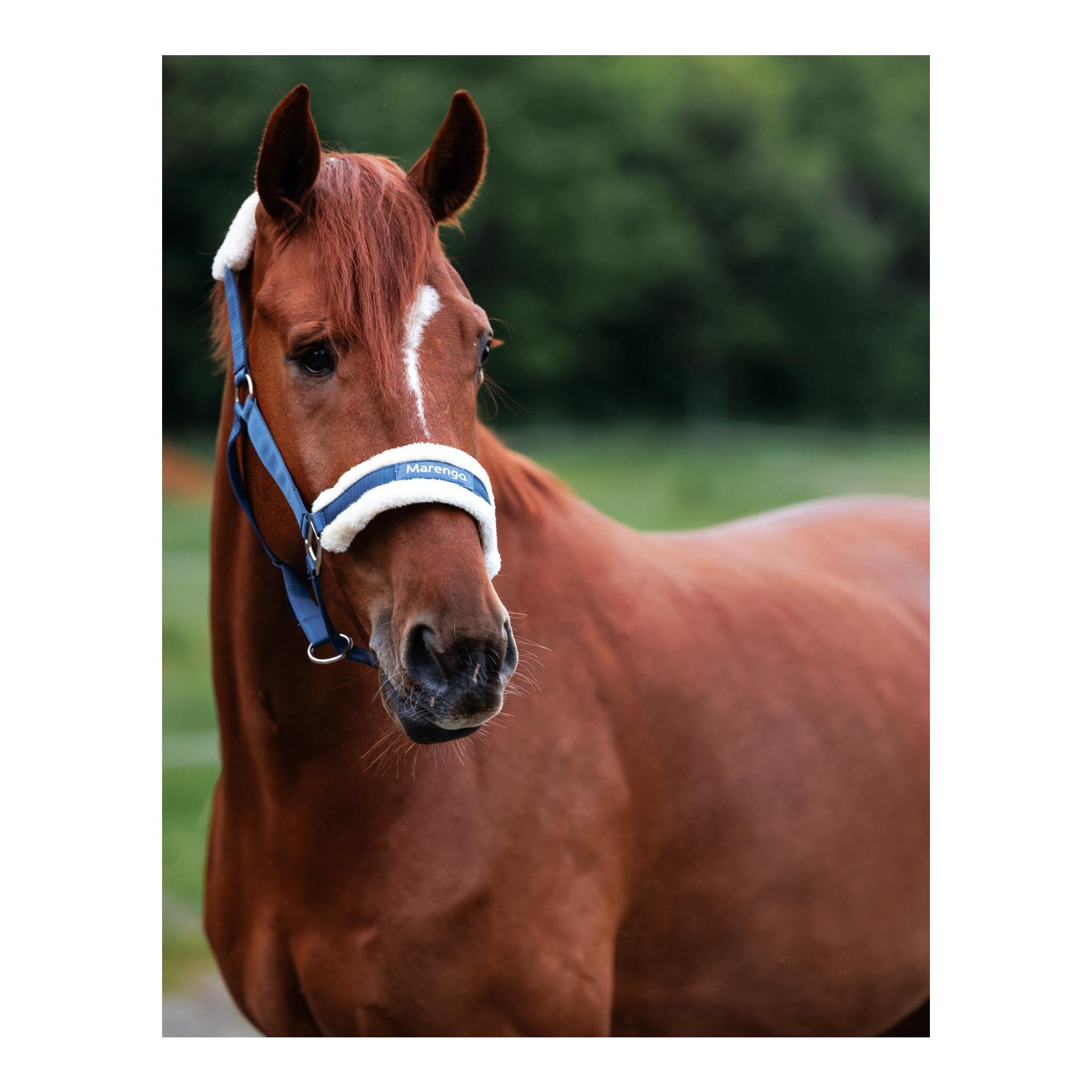 Marengo Halfter Deluxe Kunstfell
