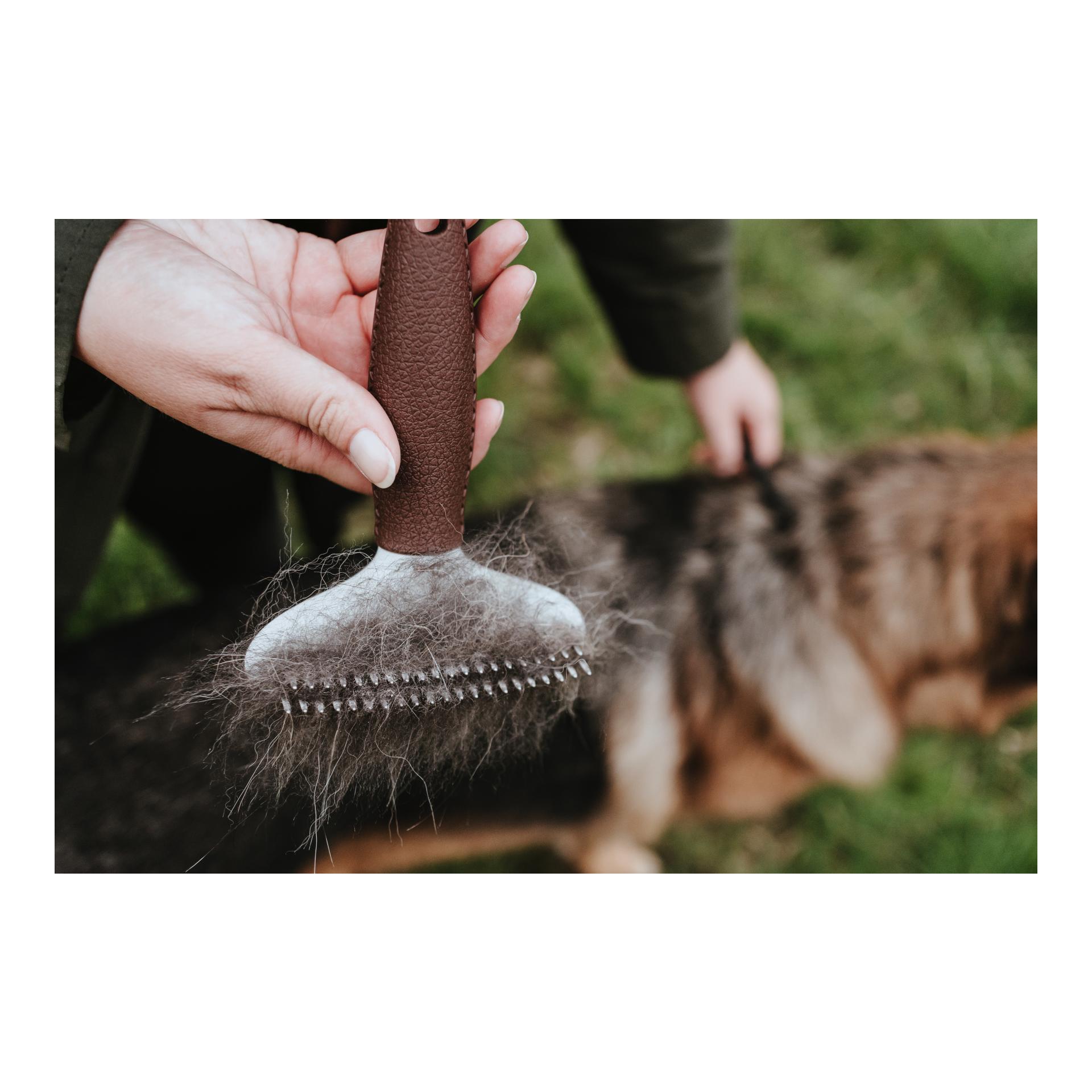 Entwirrungsstriegel zweireihig Spa