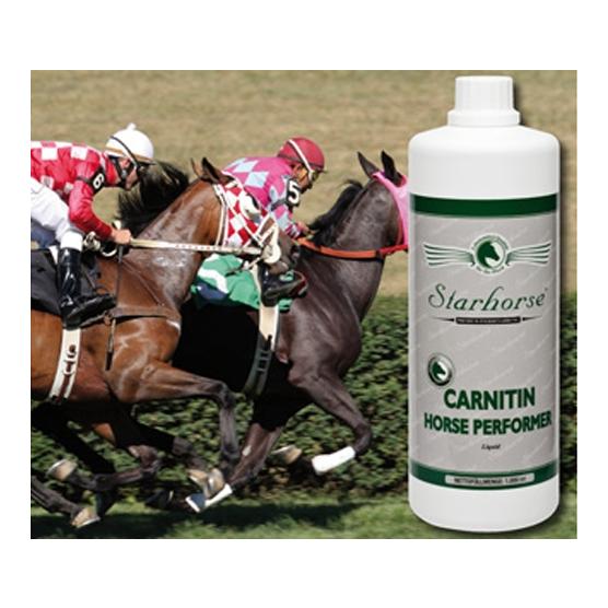 Image of Starhorse Carnitin Horse Performer bei Hauptner.ch