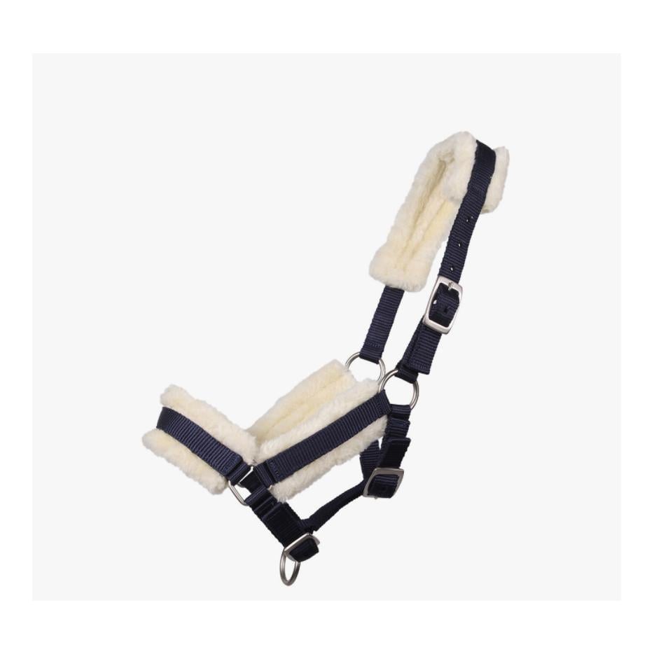 Licol pour poulain avec fourrure – bleu marine