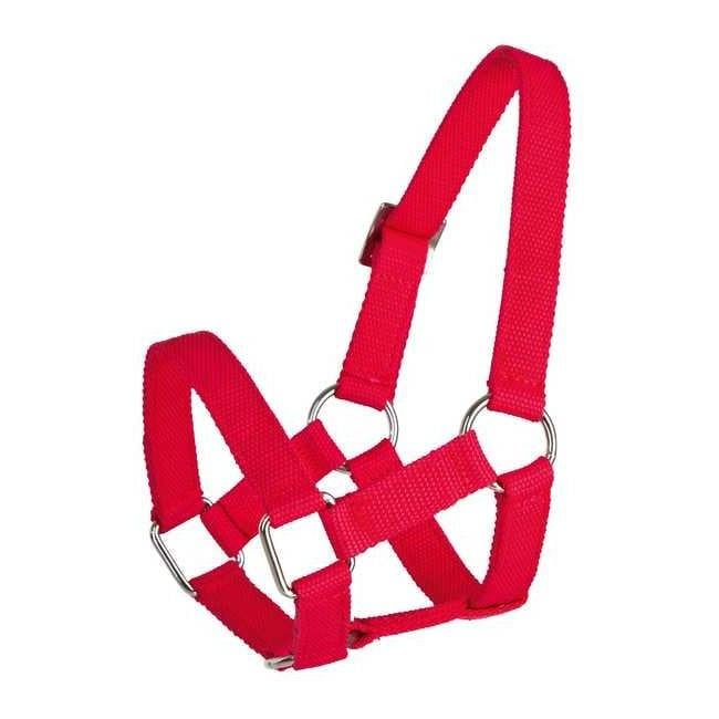 Kopfhalfter für Schafe- rot