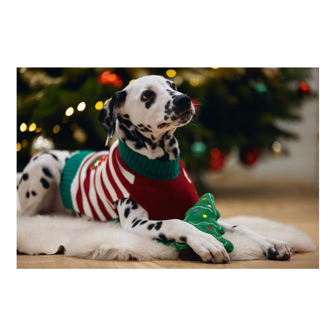 Hundespielzeug Weihnachtsbaum Noel