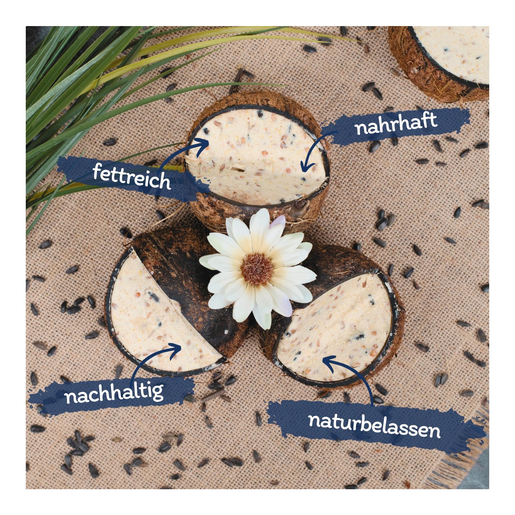 Ganze Kokosnuss V-Cut gefüllt