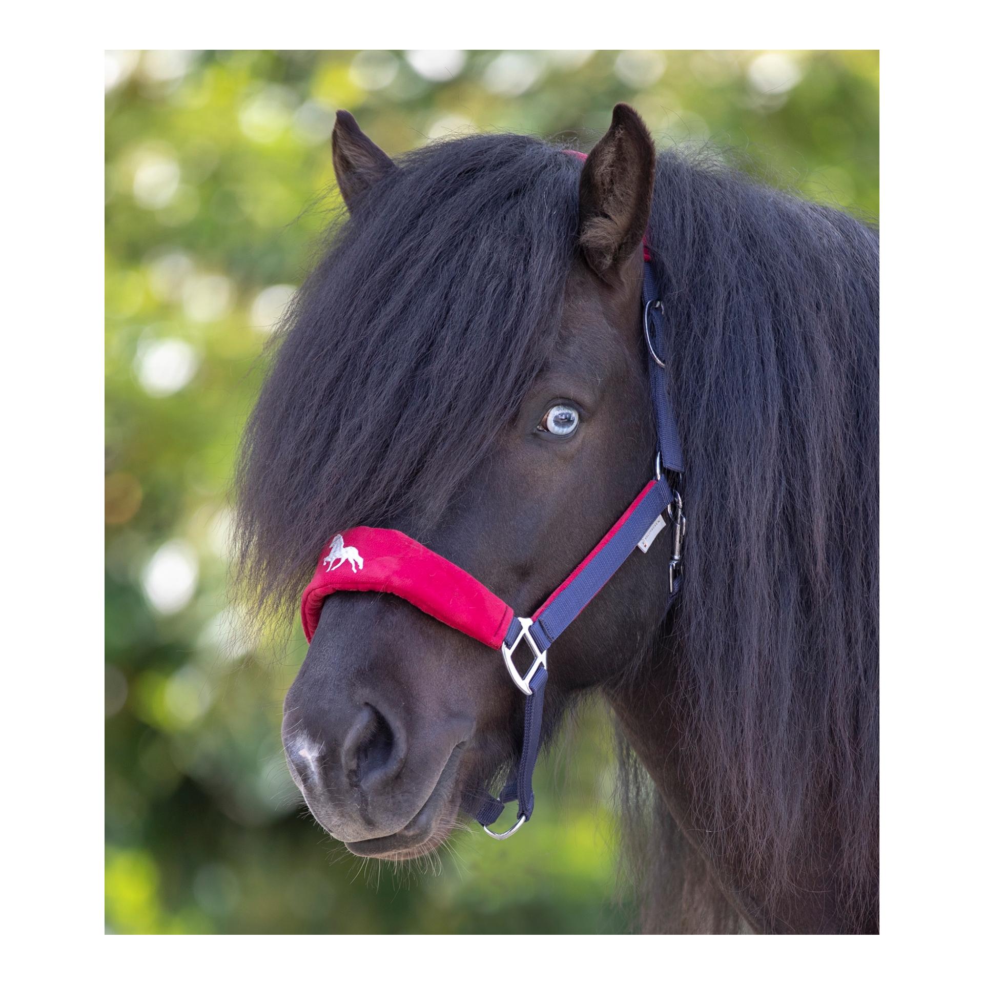 Image of Waldhausen Islandhalfter Hellnar - navy/rot bei Hauptner.ch