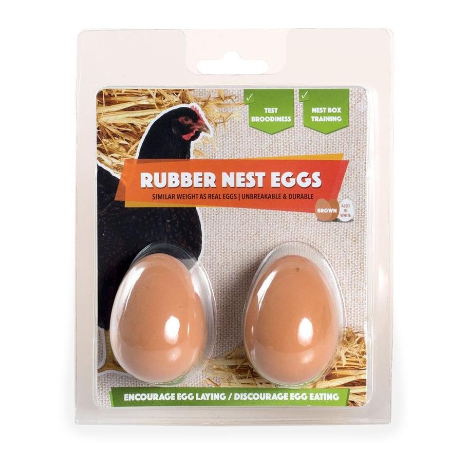 Œufs factices en argile