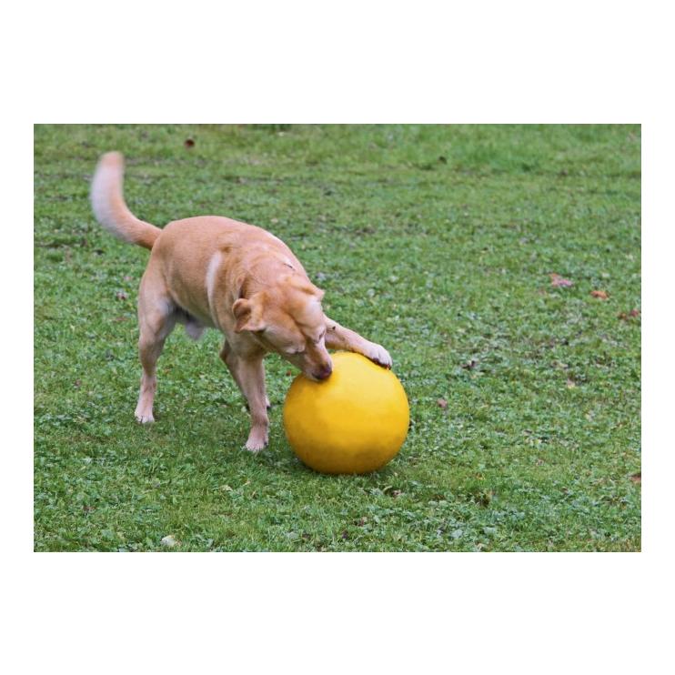Hundespielball 30 cm