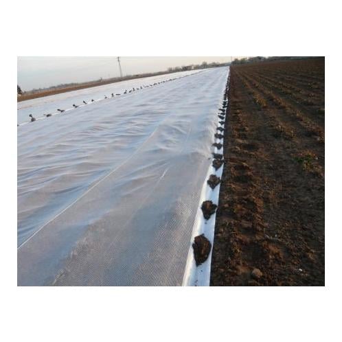 Ernteverfrühungsnetz