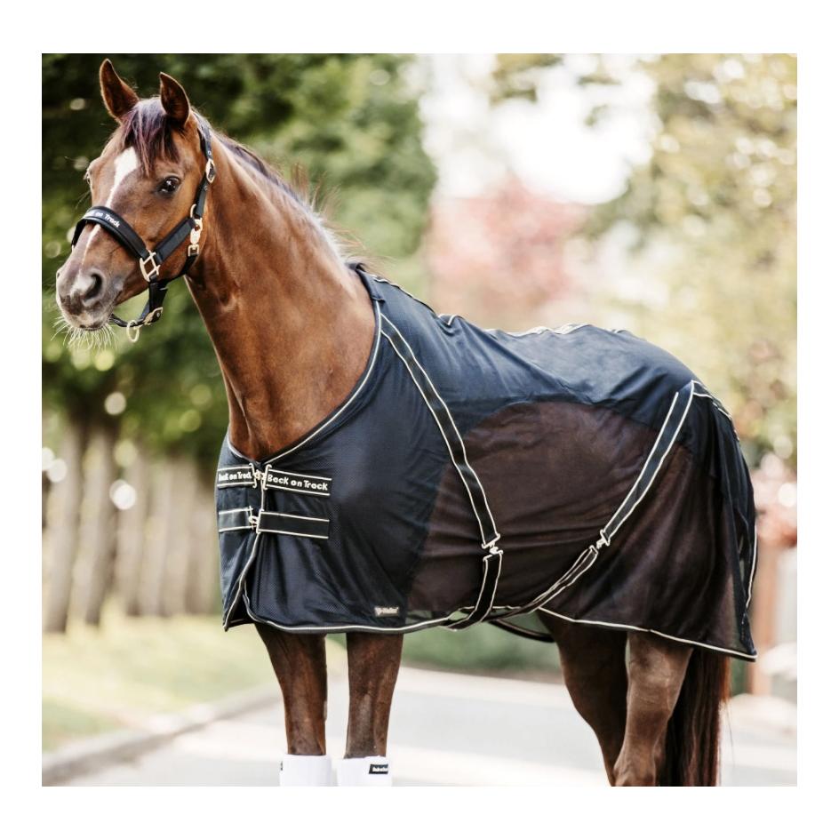 Cooler - Decke Sienna - schwarz