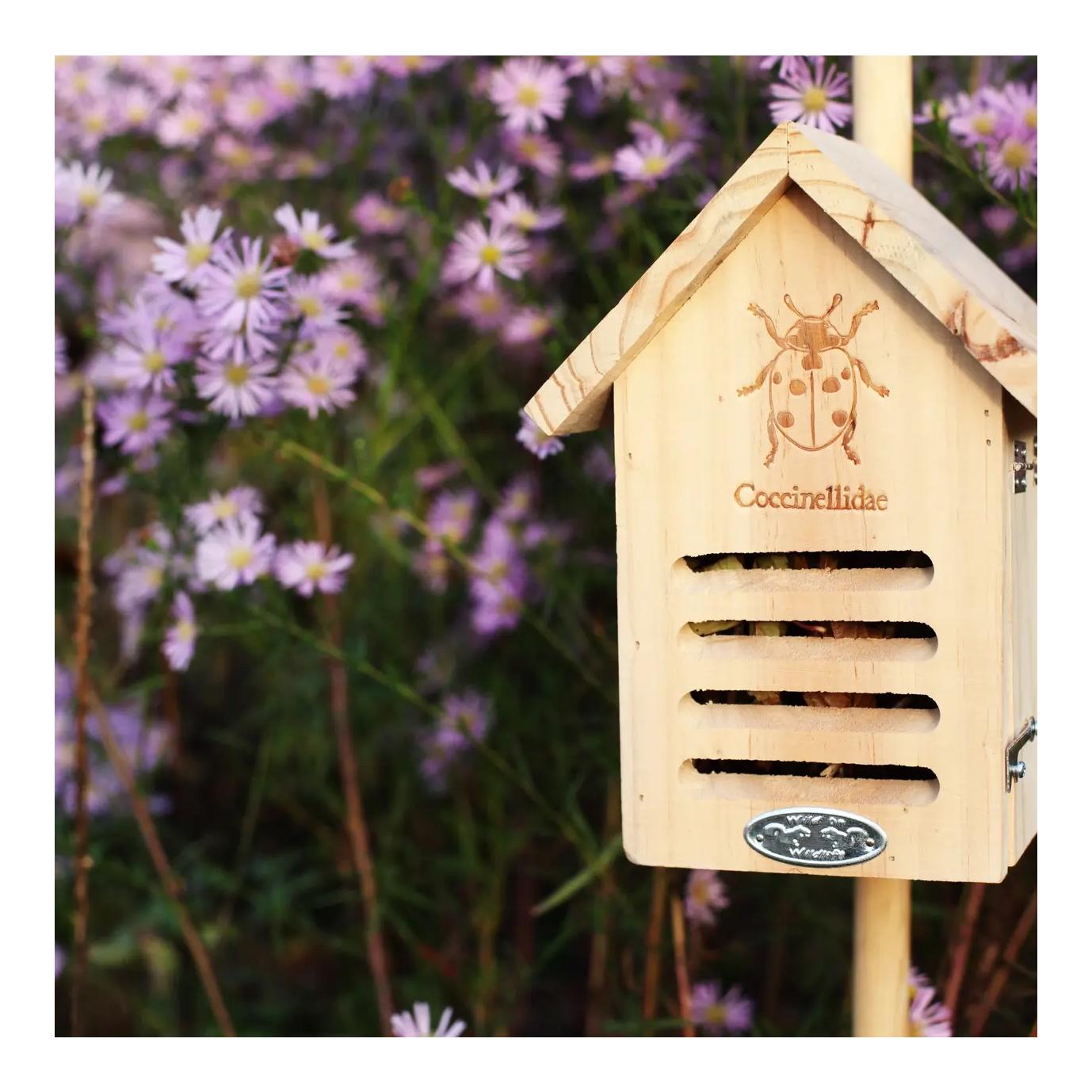 Marienkäferhaus mit Silhouette
