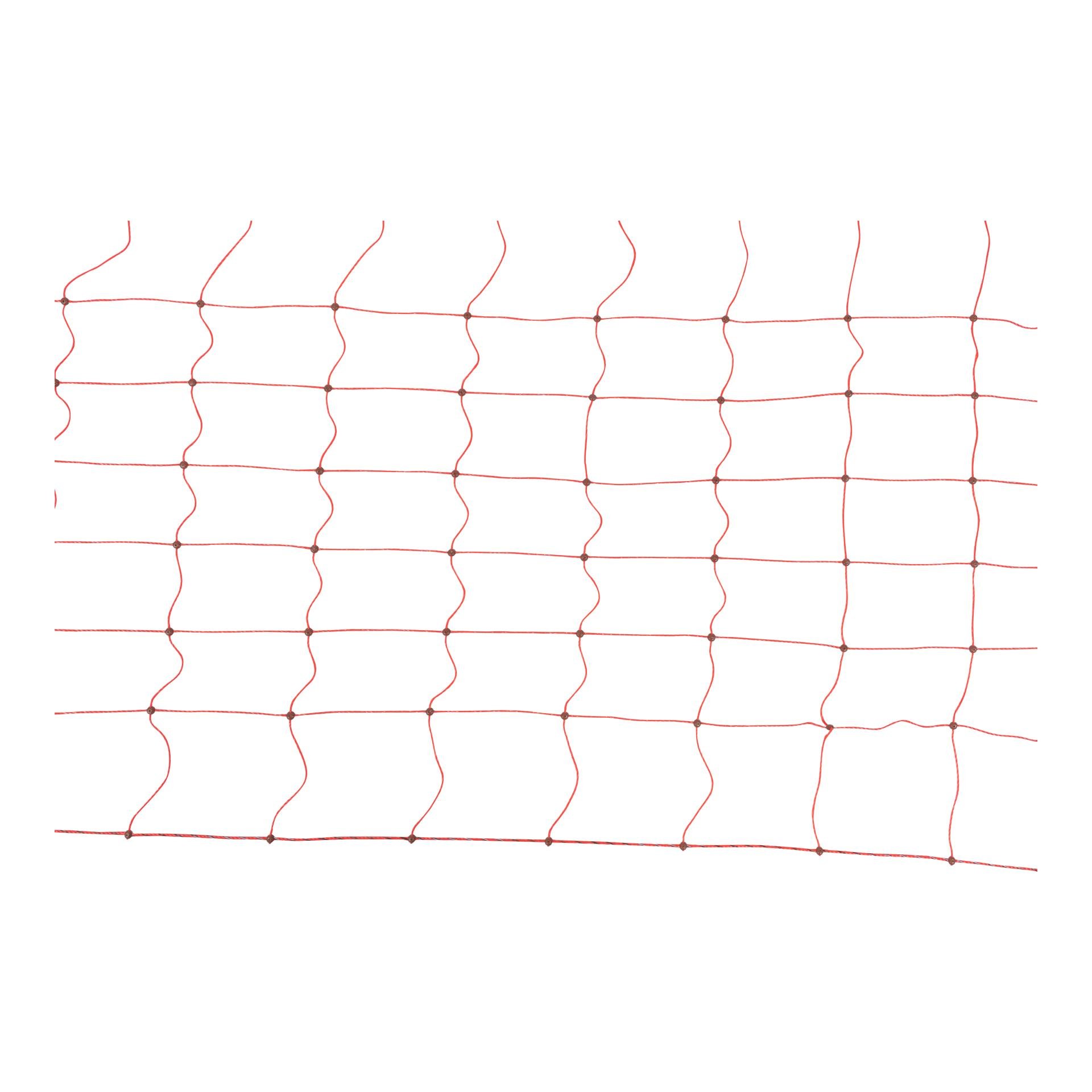 Weidenetz "FlexiNet" - Doppelspitz