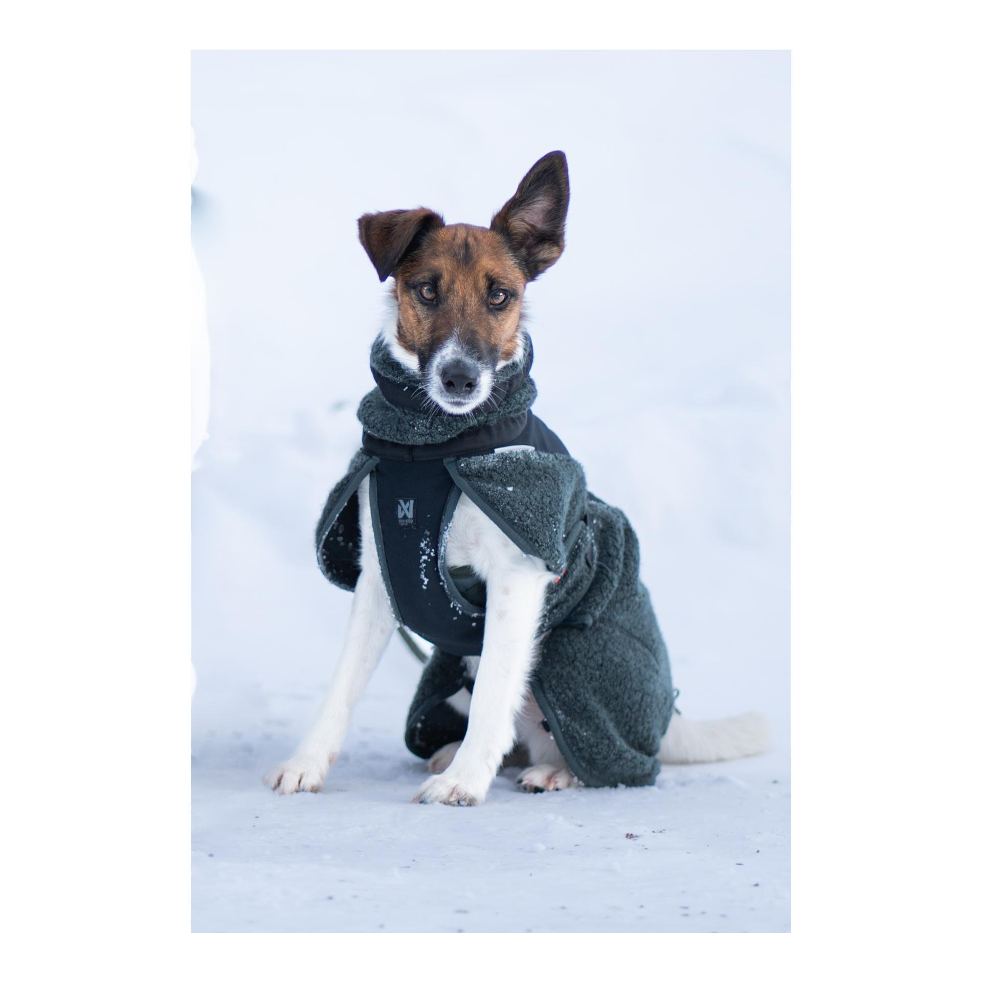 Hundemantel Wool Dog Jacket