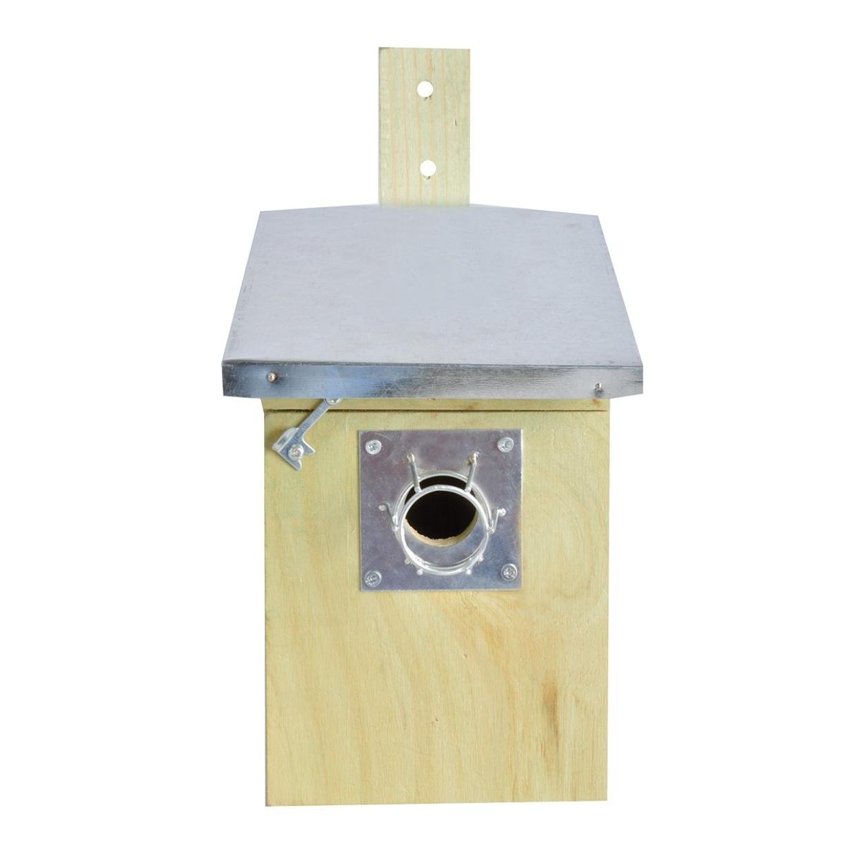 Eichhörnchen/Marder Schutz