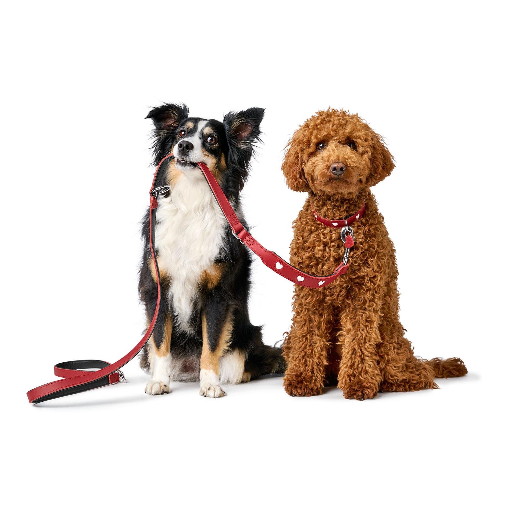 Hunter Verstellbare Führleine Love