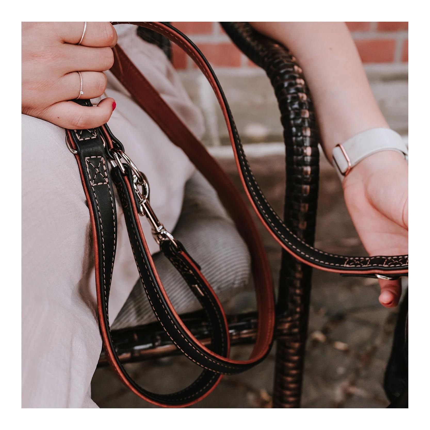 Verstellbare Hundeleine Canadian Up