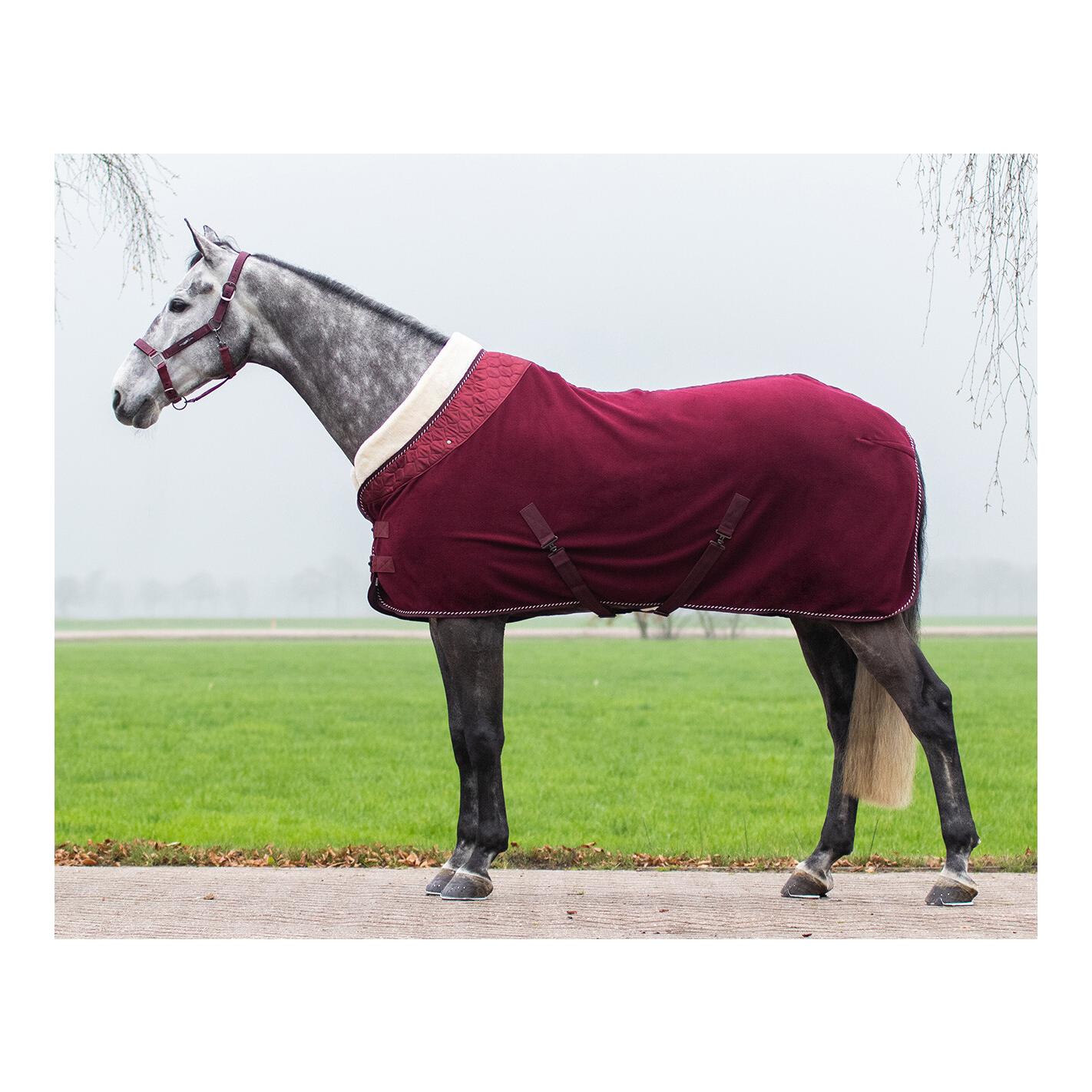 145 cm Pferdedecke Abschwitzdecke Decke für Pferde ELDORADO Fleecedecke rot 