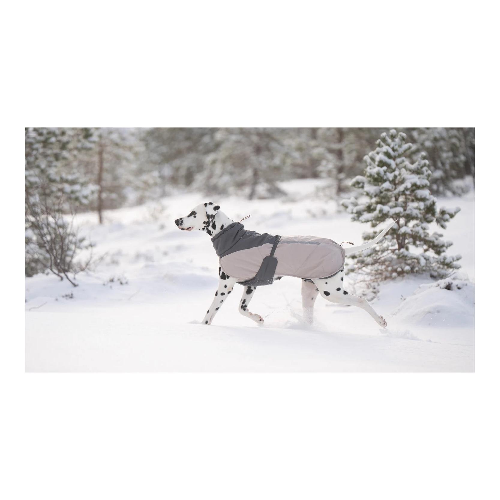 Hunde Winterjacke Glacier wool jacket 3.0