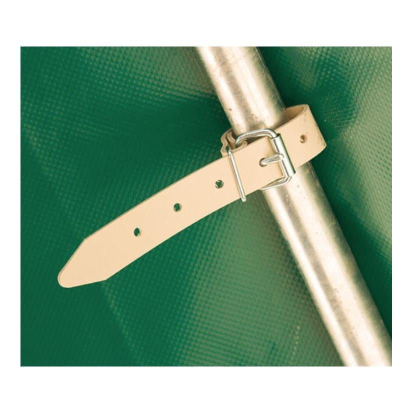 Vordach Calfhouse Premium 4/5 - grün