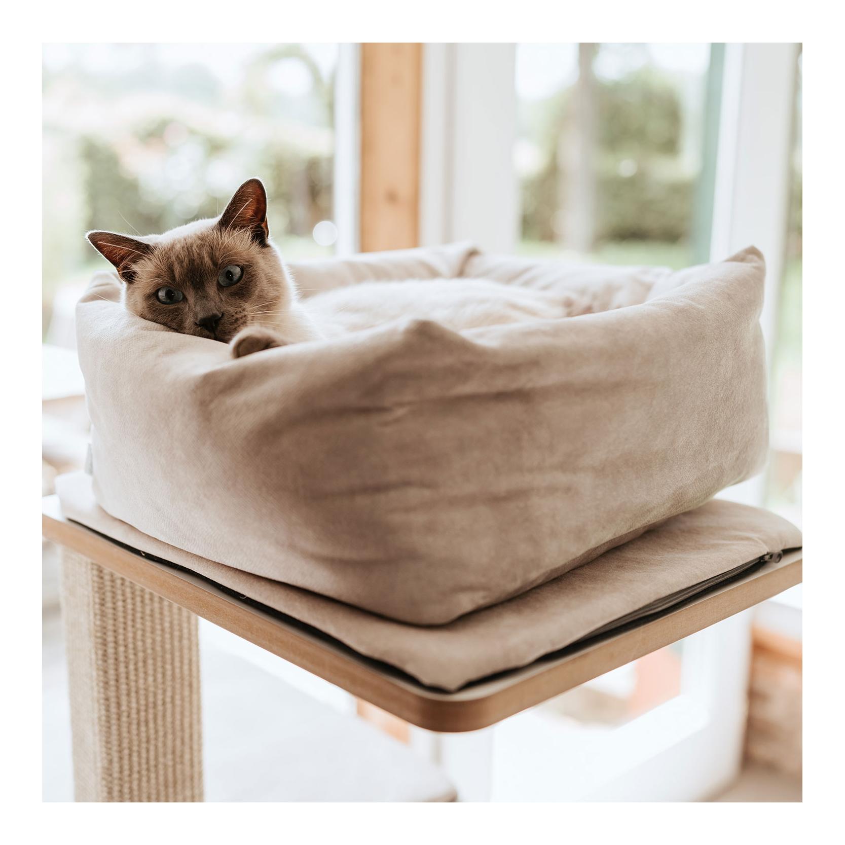 Katzenbett Dreamie