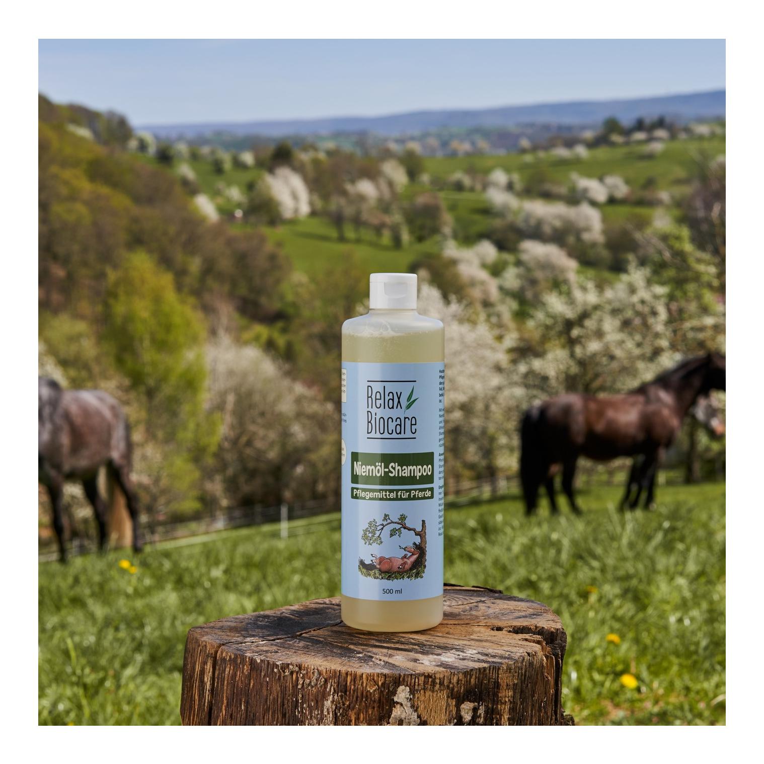 Pferdeshampoo Shampoo mit Himbeerduft für Pferde Ponys 