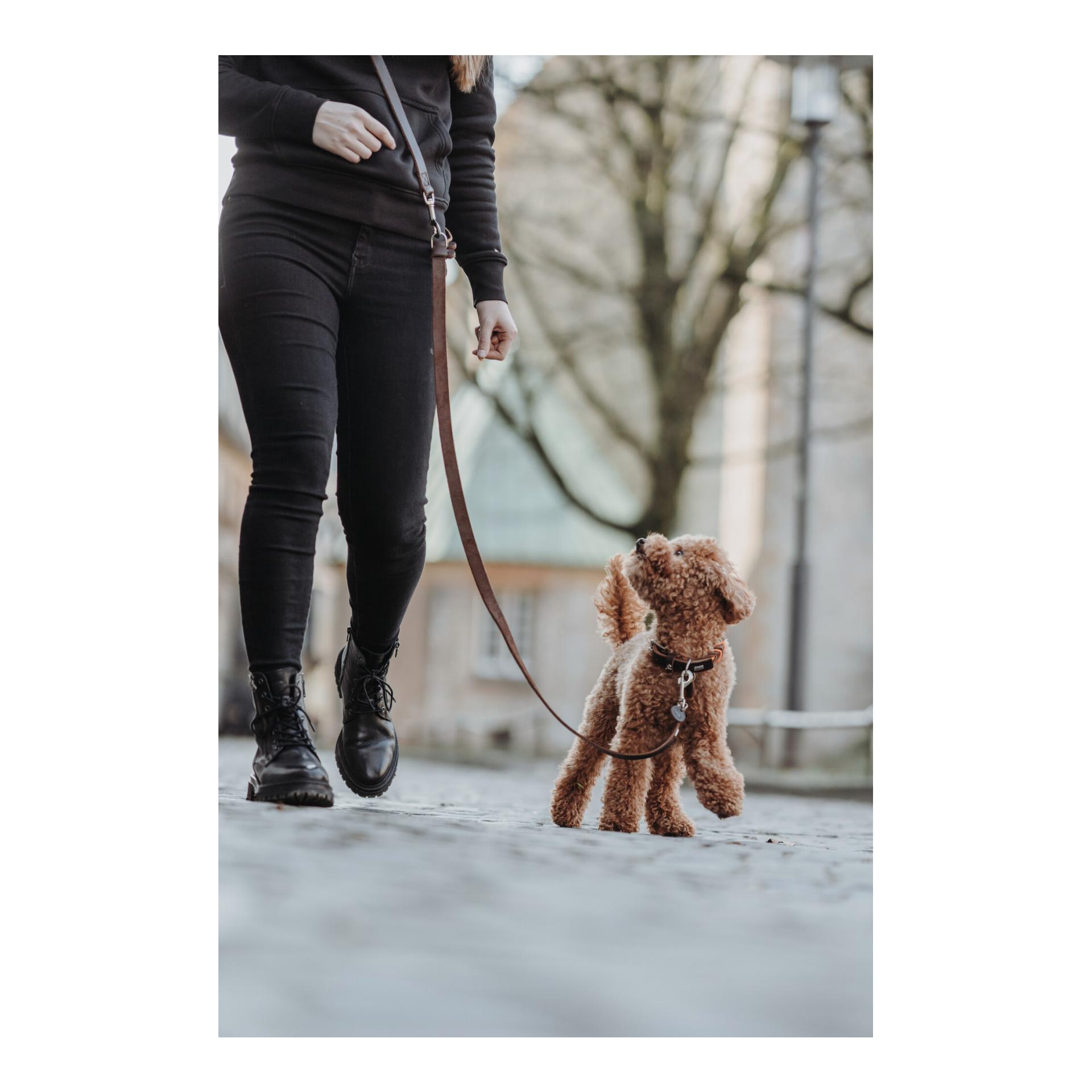 Umhängeleine Aalborg