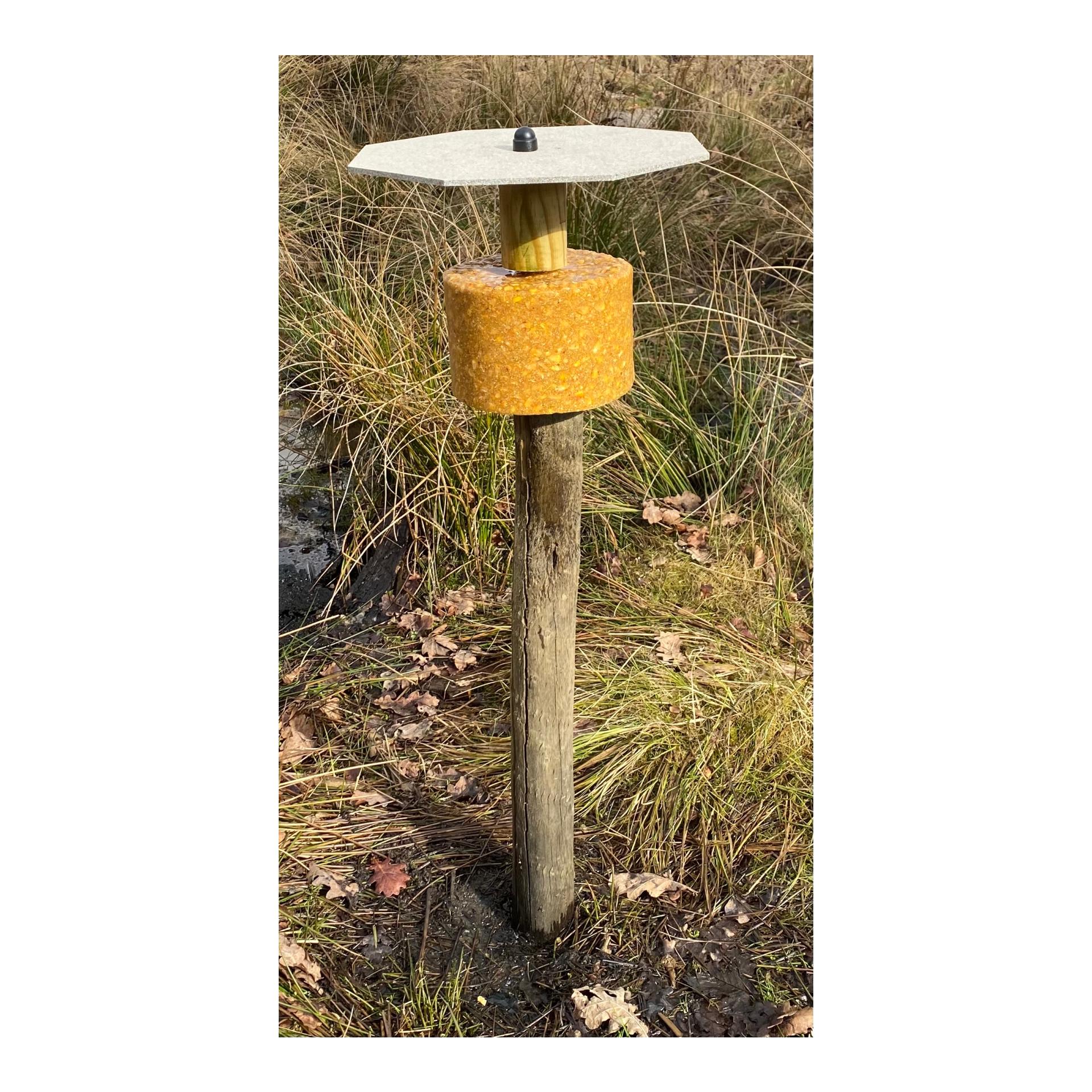 Befestigungsset Pfahlanbringung für Lecksteine