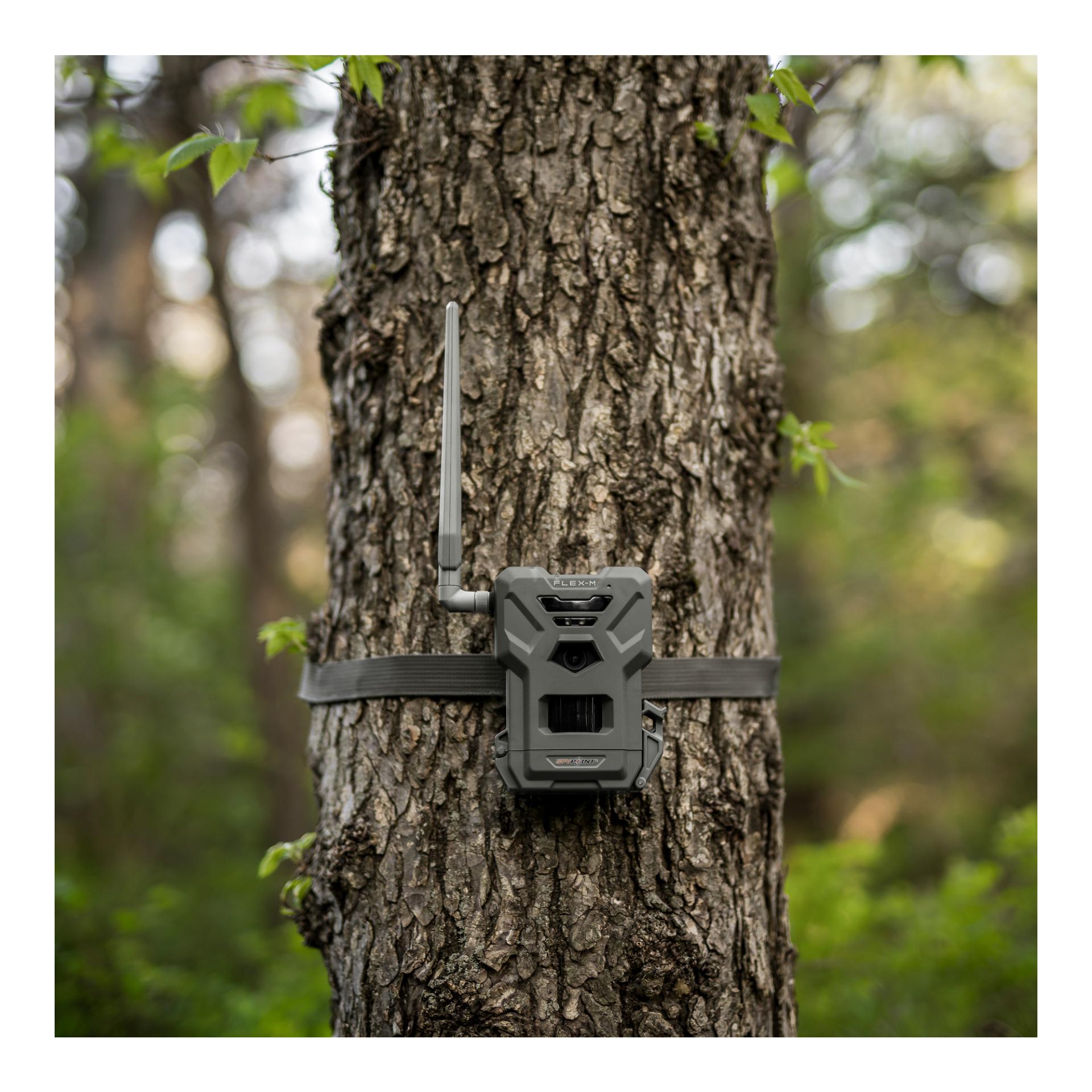 Spypoint Caméra de chasse FLEX-M