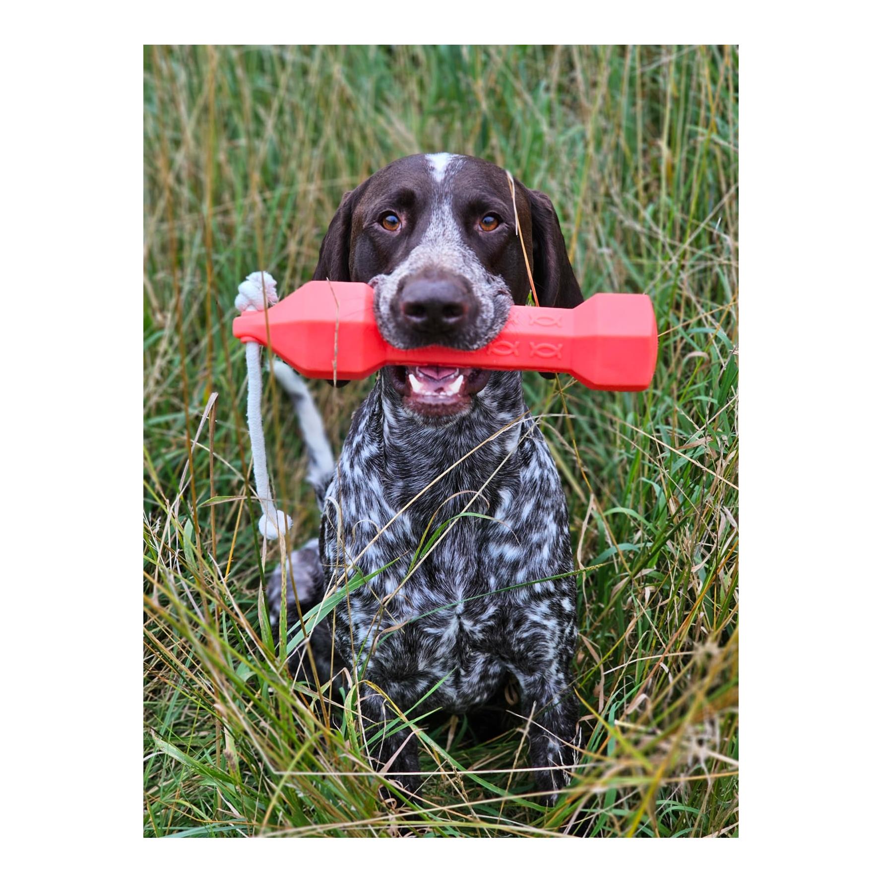 Apportierdummy Balance Bumper 320g