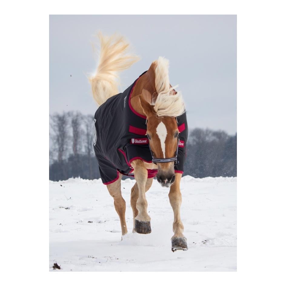 Regendecke Outdoor Guard