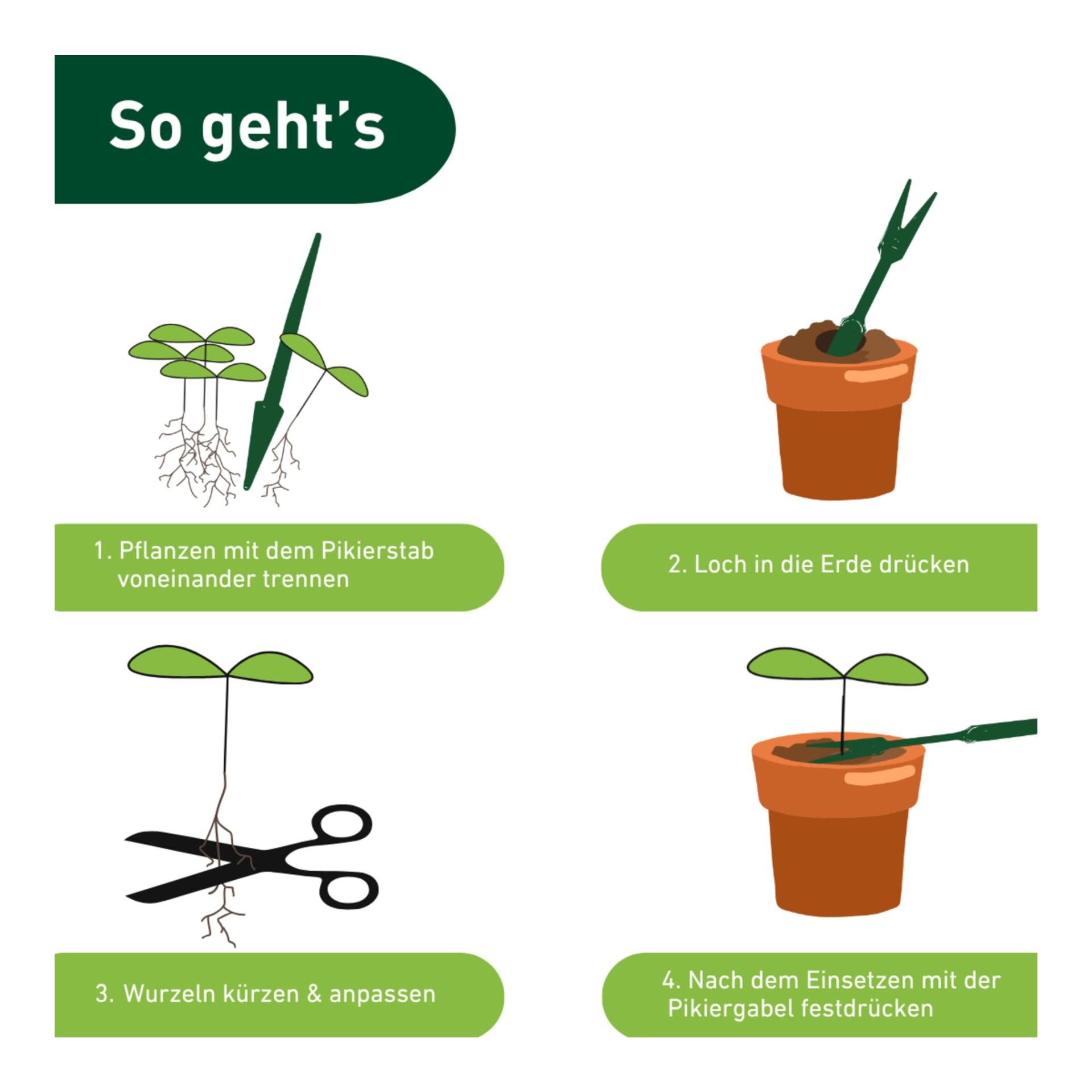 Windhager Kit de repiquage
