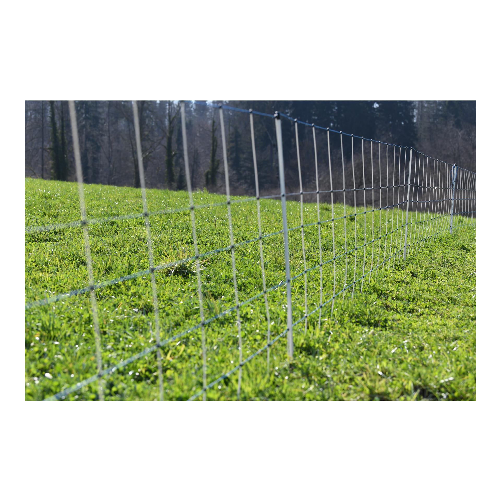 Hauptner Filet en osier "Primaflex Alpin" - pointe simple