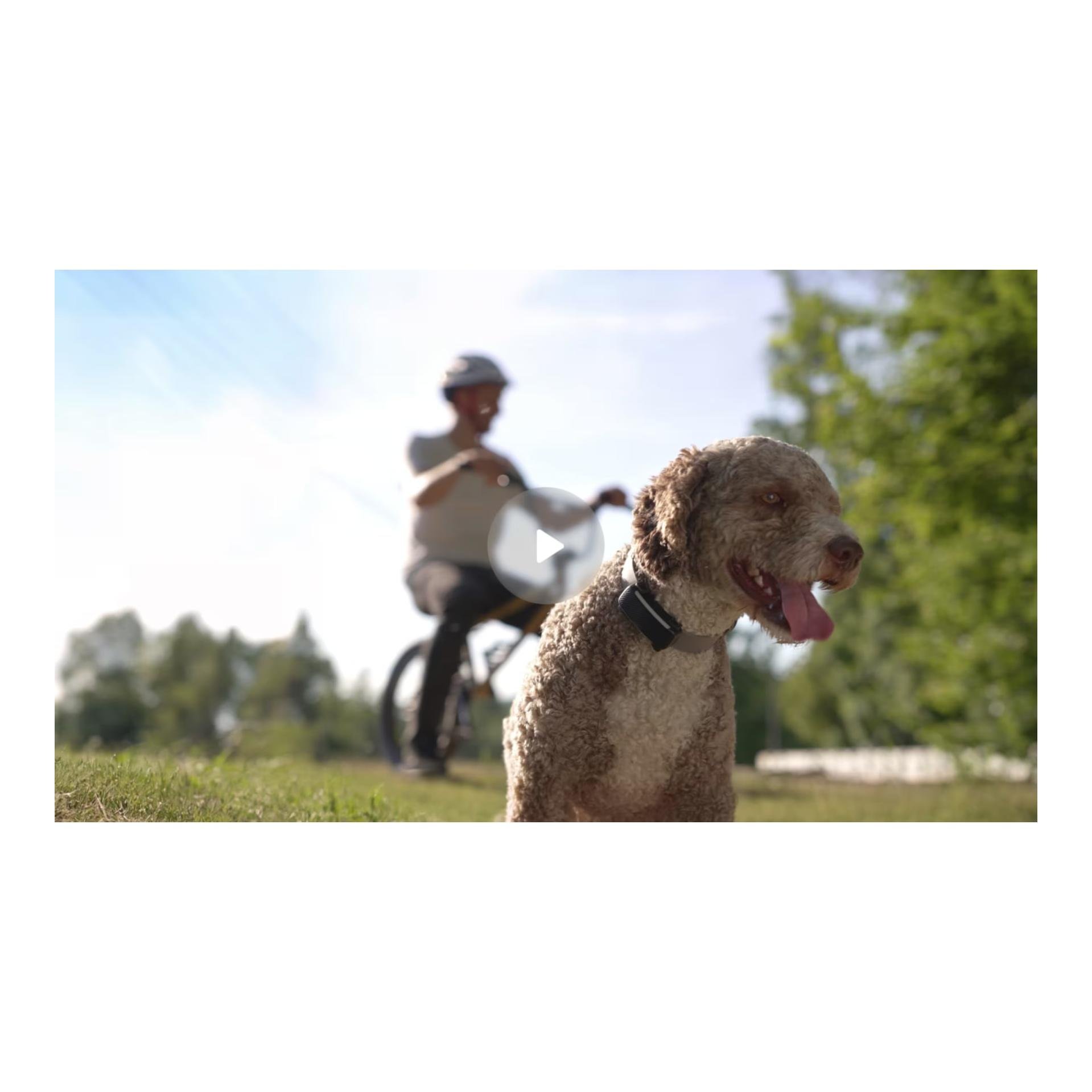 Tracker GPS pour chiens DOG 6