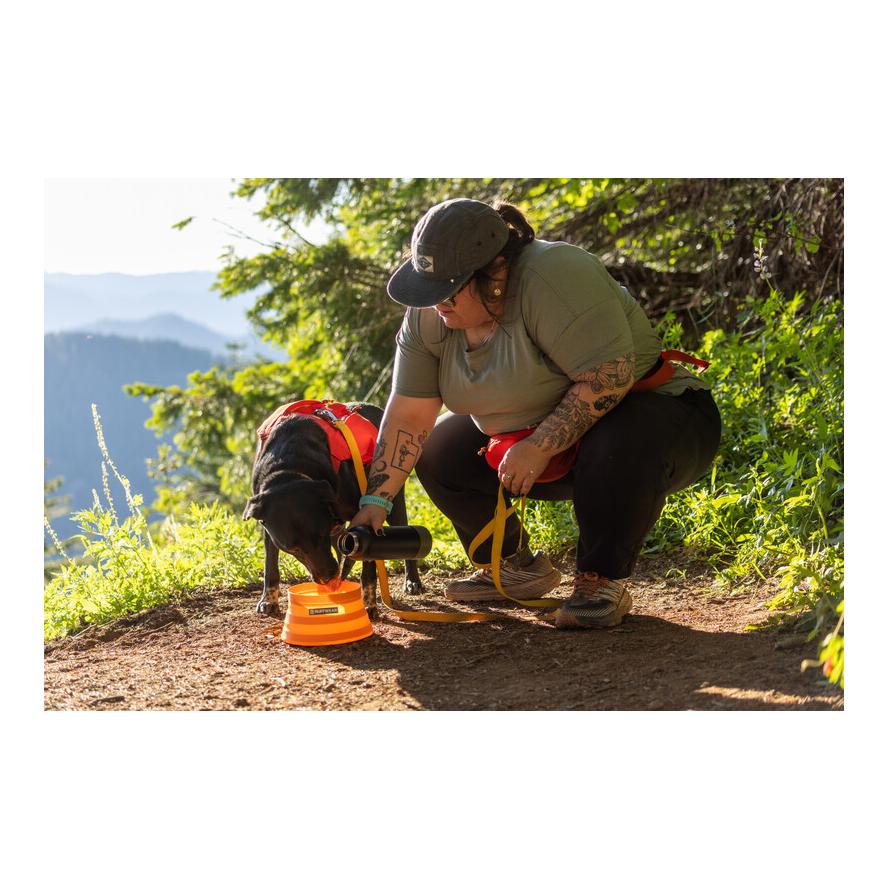 Bivy™ Bowl gamelle pour chien