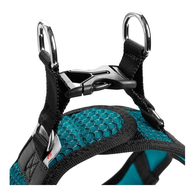 Hundegeschirr Hilo Comfort - türkis