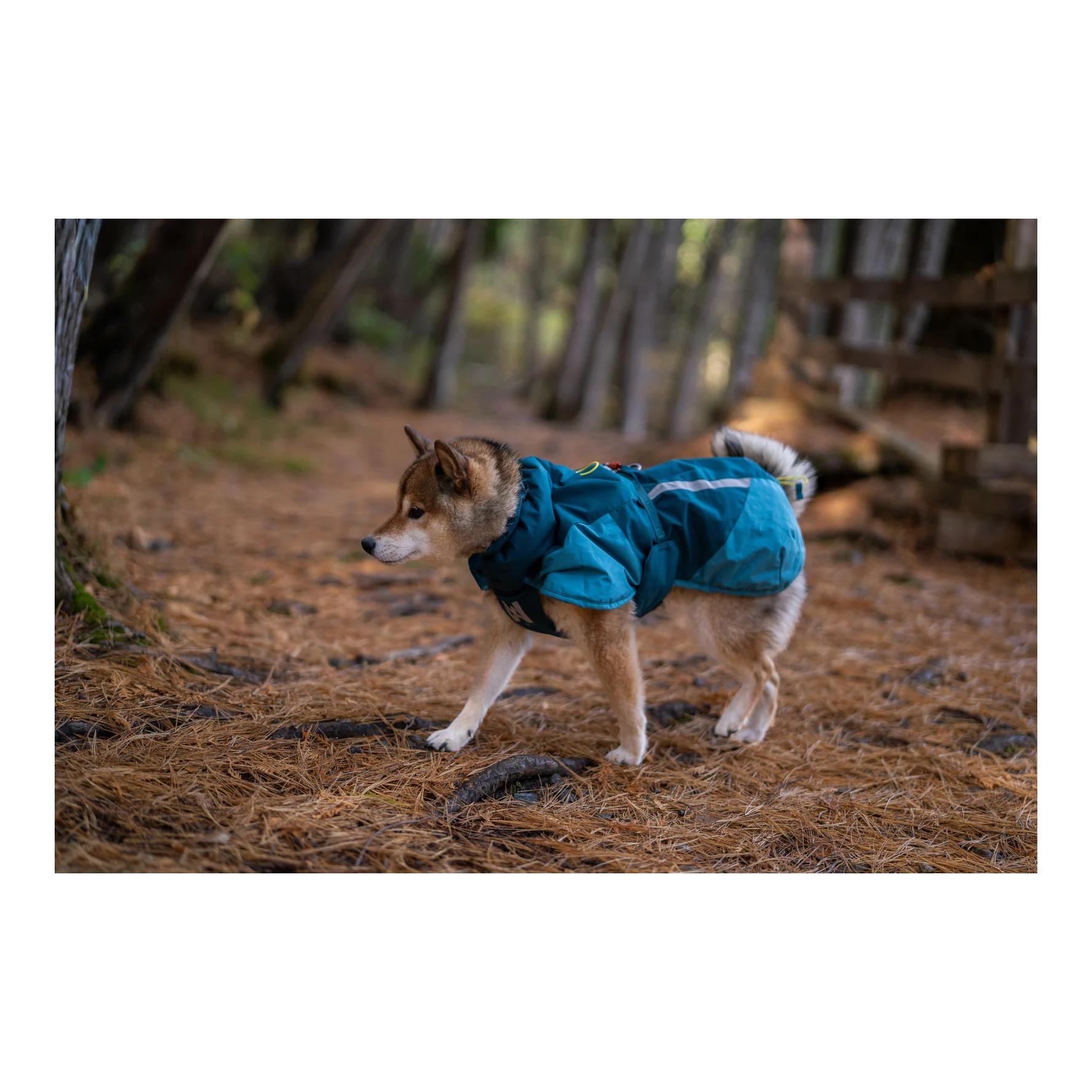 Hunde Winterjacke Glacier jacket 3.0