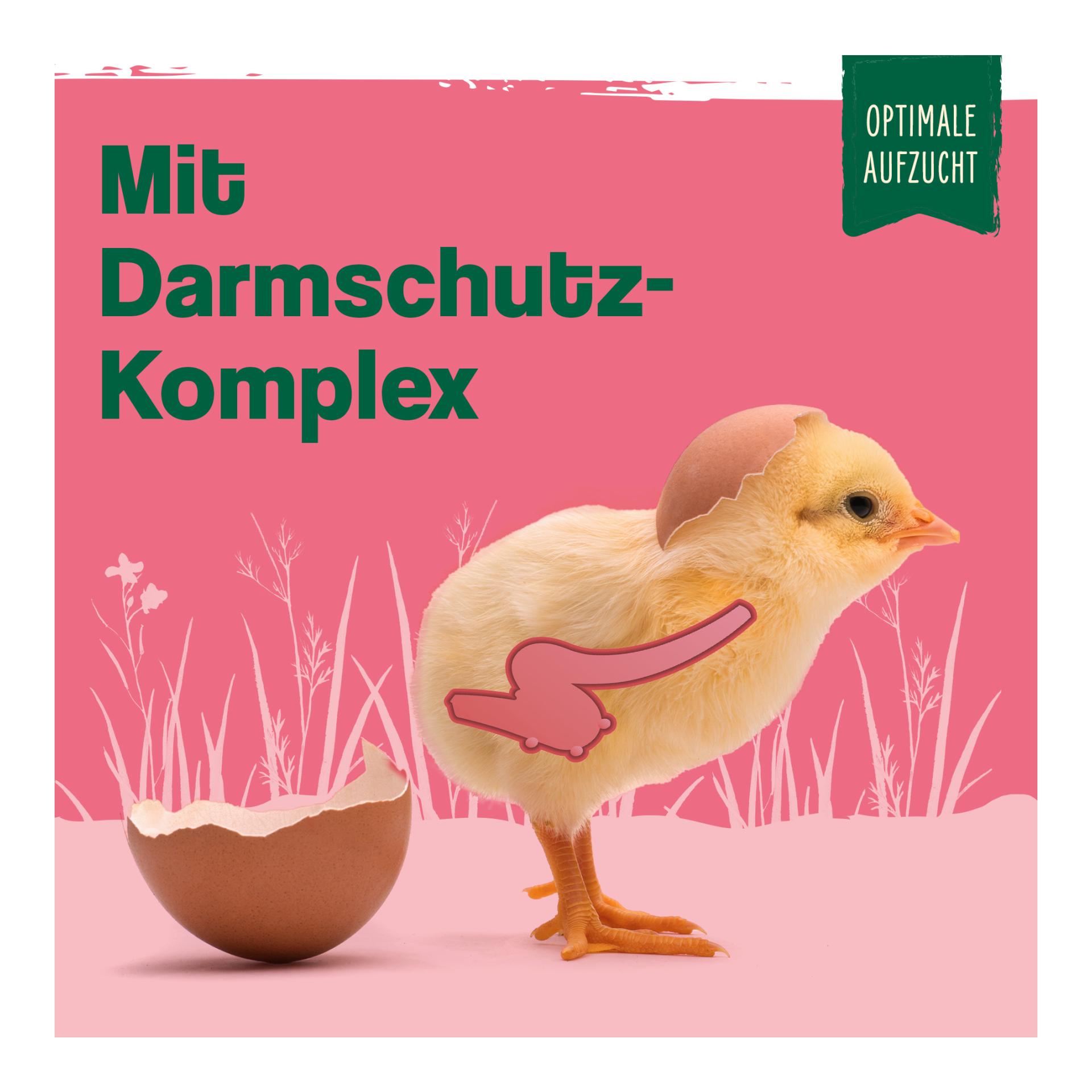 IdaPlus Küken Booster - optimale Küken Aufzucht - essenzielle Hühner Vitamine